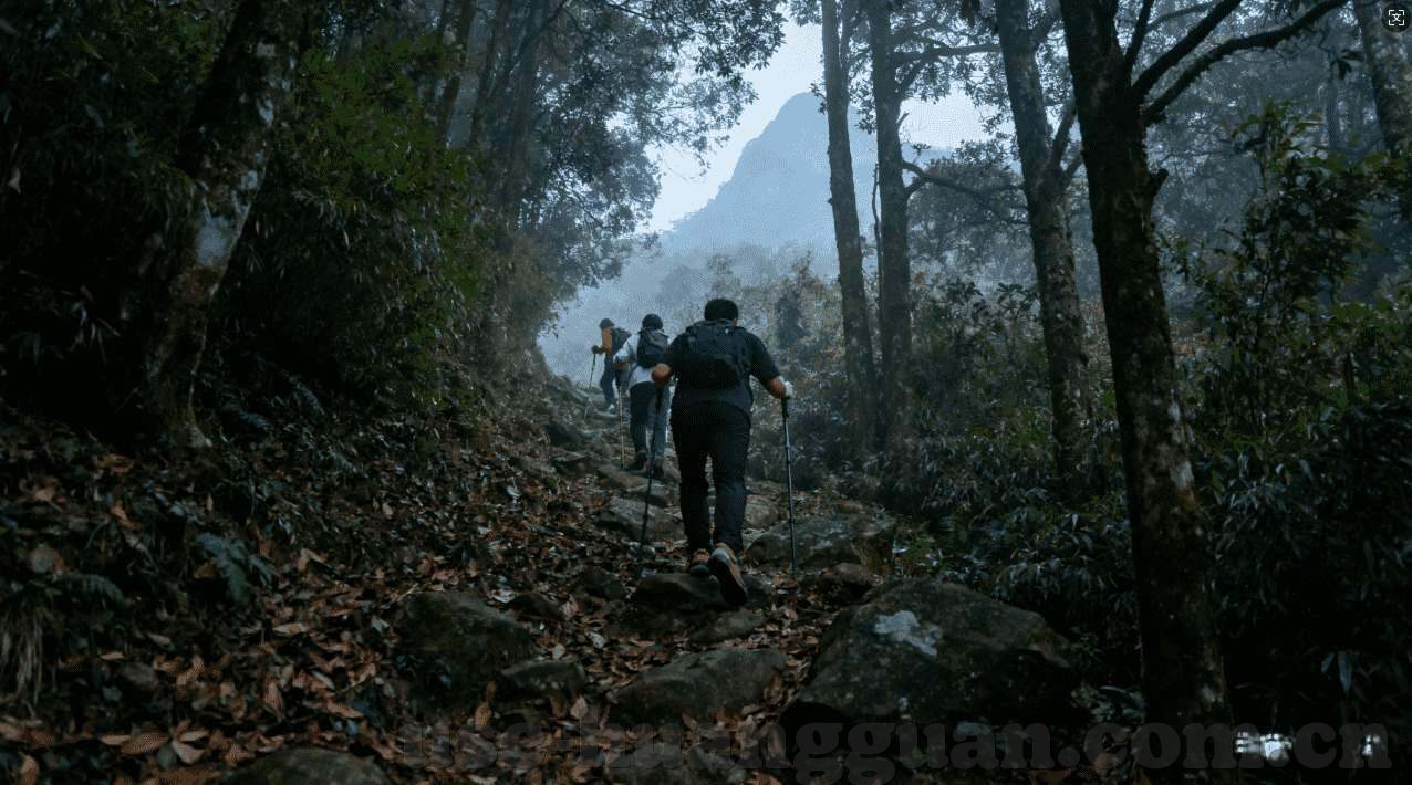 pg电子官方网平台-探索PG电子官方网平台的卓越服务与技术创新